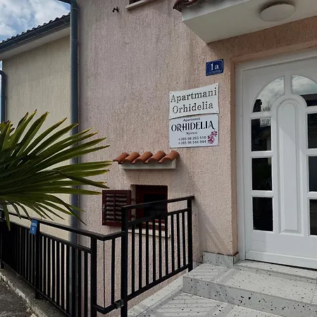 Orhidelia Apartment